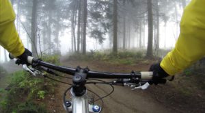 A person biking in a forest.